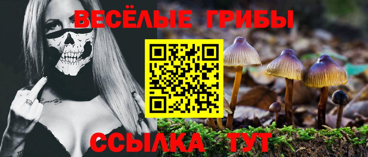 Галлюциногенные грибы ЛСД Вятские Поляны